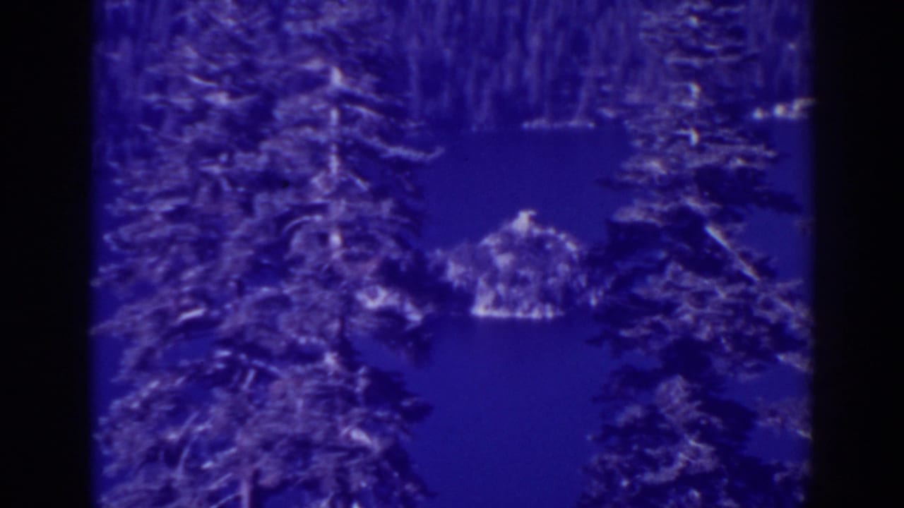 Evergreen branches frame a small island or rocky landform in blue lake water.