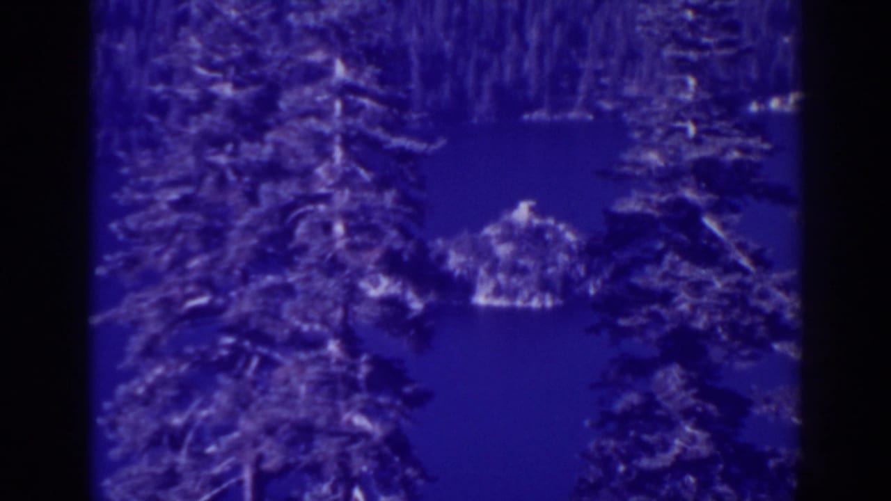 Dense trees frame blue water and a small landform near the center.