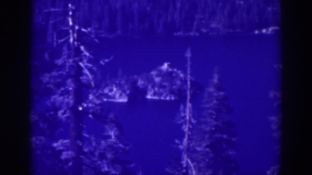 Blue-tinted lake view with evergreen trees and a small island or rocky object in the water.