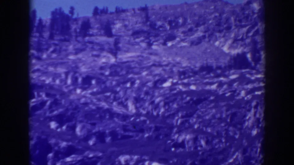 1938 Emerald Bay frame showing a wooded slope and shoreline terrain, with brush, tree trunks, and blue-purple film color.