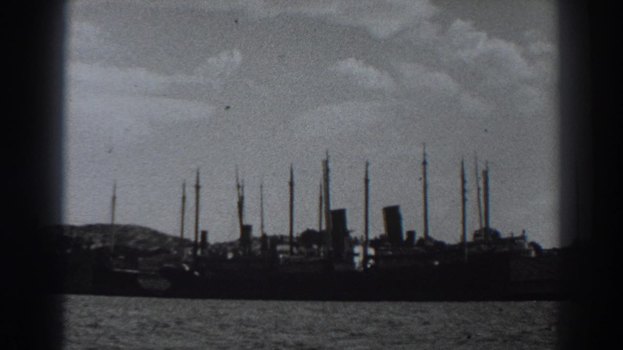 Distant silhouetted ships and masts across water under a cloudy sky.