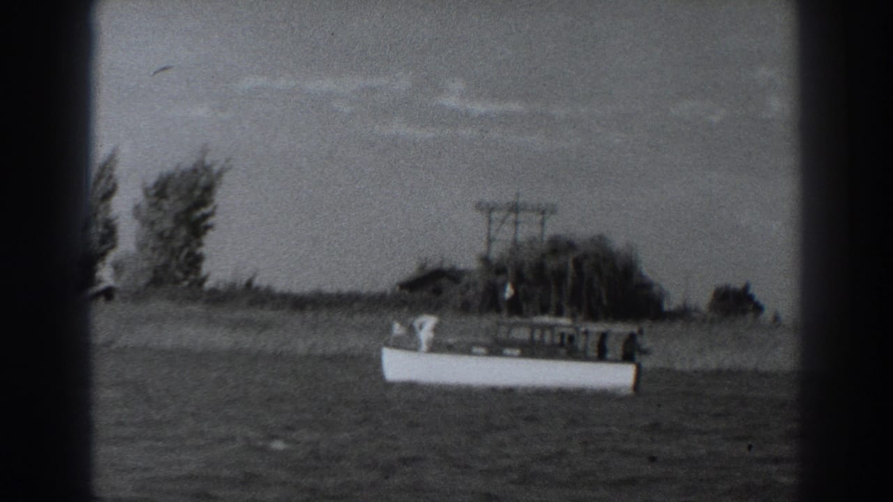 Small white motorboat on rippled water near a grassy shoreline with trees and utility poles.