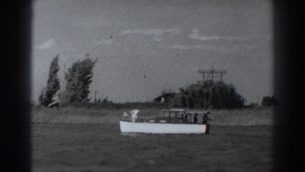 White motorboat centered on the water with a grassy bank, trees, and utility poles behind it.