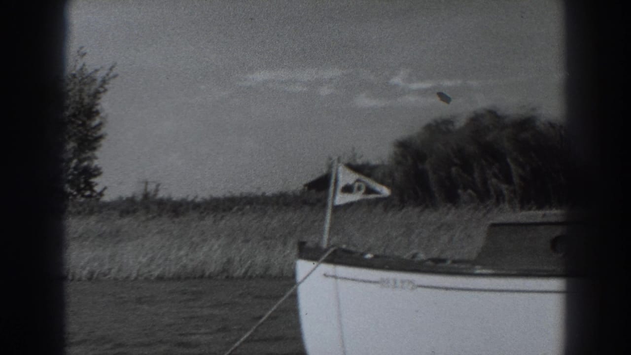 Small white boat moored beside reeds and a grassy shoreline under a cloudy sky.