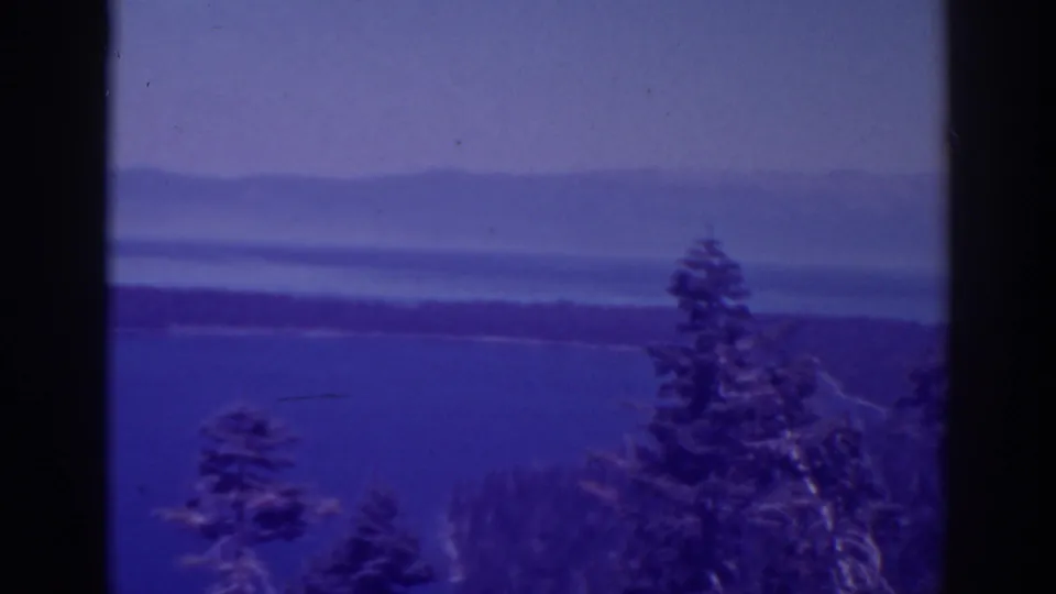 Lake Tahoe appears beyond dark evergreen trees, with a wooded strip and soft hills visible through the blue-purple 8mm color shift.
