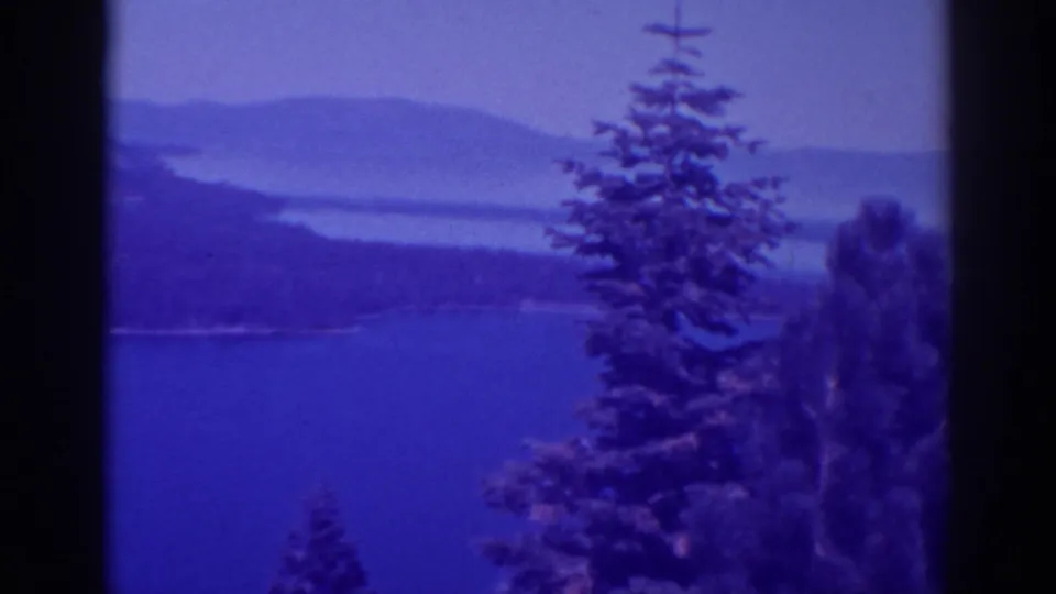 1938 Lake Tahoe frame with a tall pine foregrounding the blue lake and distant, softly focused mountains.