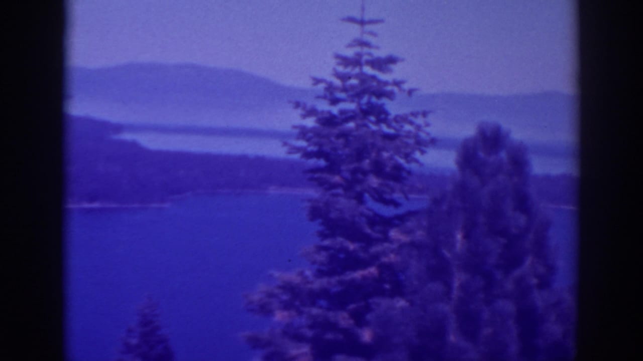 Pine trees in front of a blue lake with hazy hills beyond.