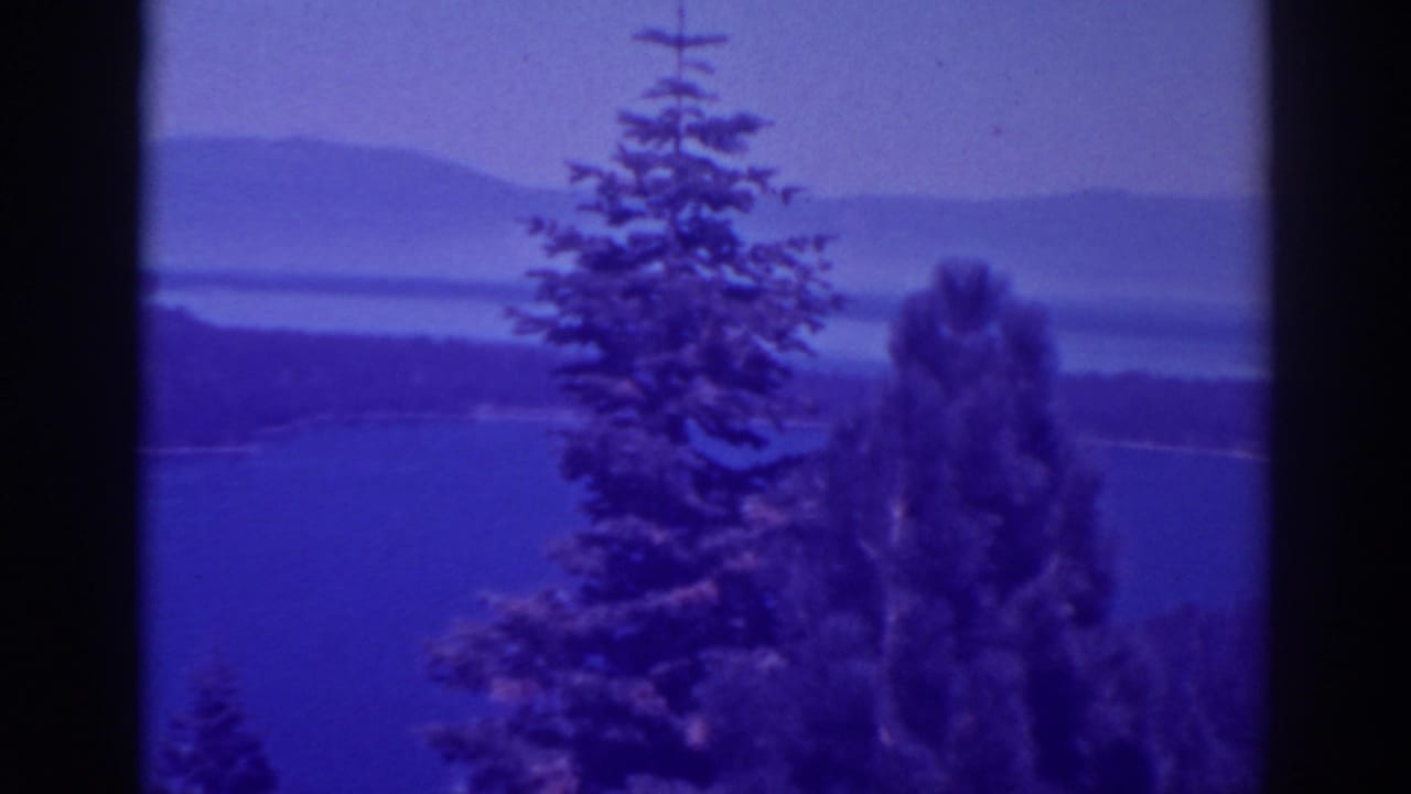 Evergreen trees overlook a lake with layered hills in the background.