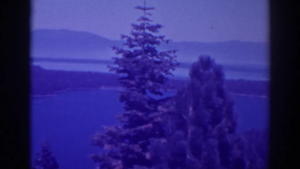 1938 Lake Tahoe frame with tall pines, open water, and softly rendered hills under a blue-purple film cast.