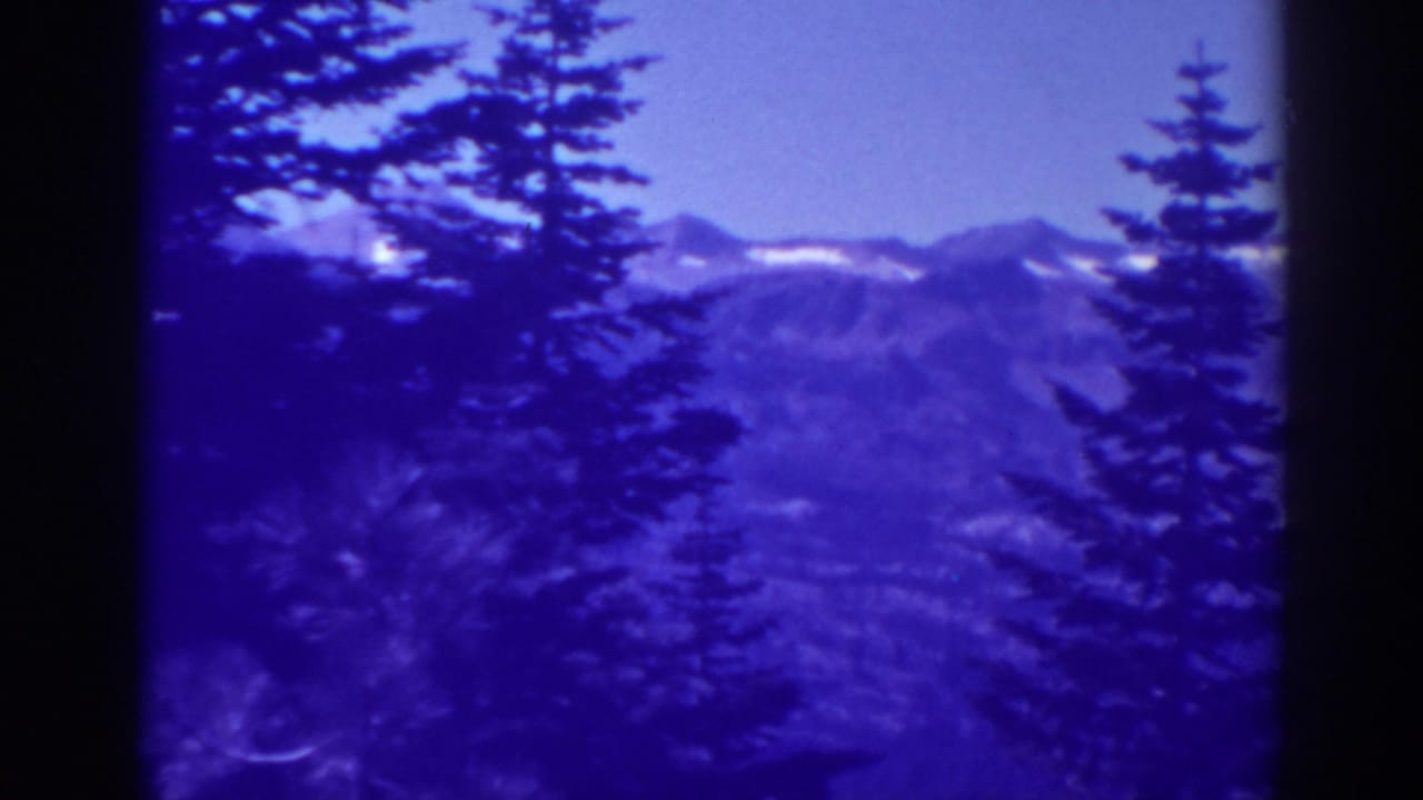 Evergreen trees frame distant snow-streaked mountains under a blue cloudy sky.