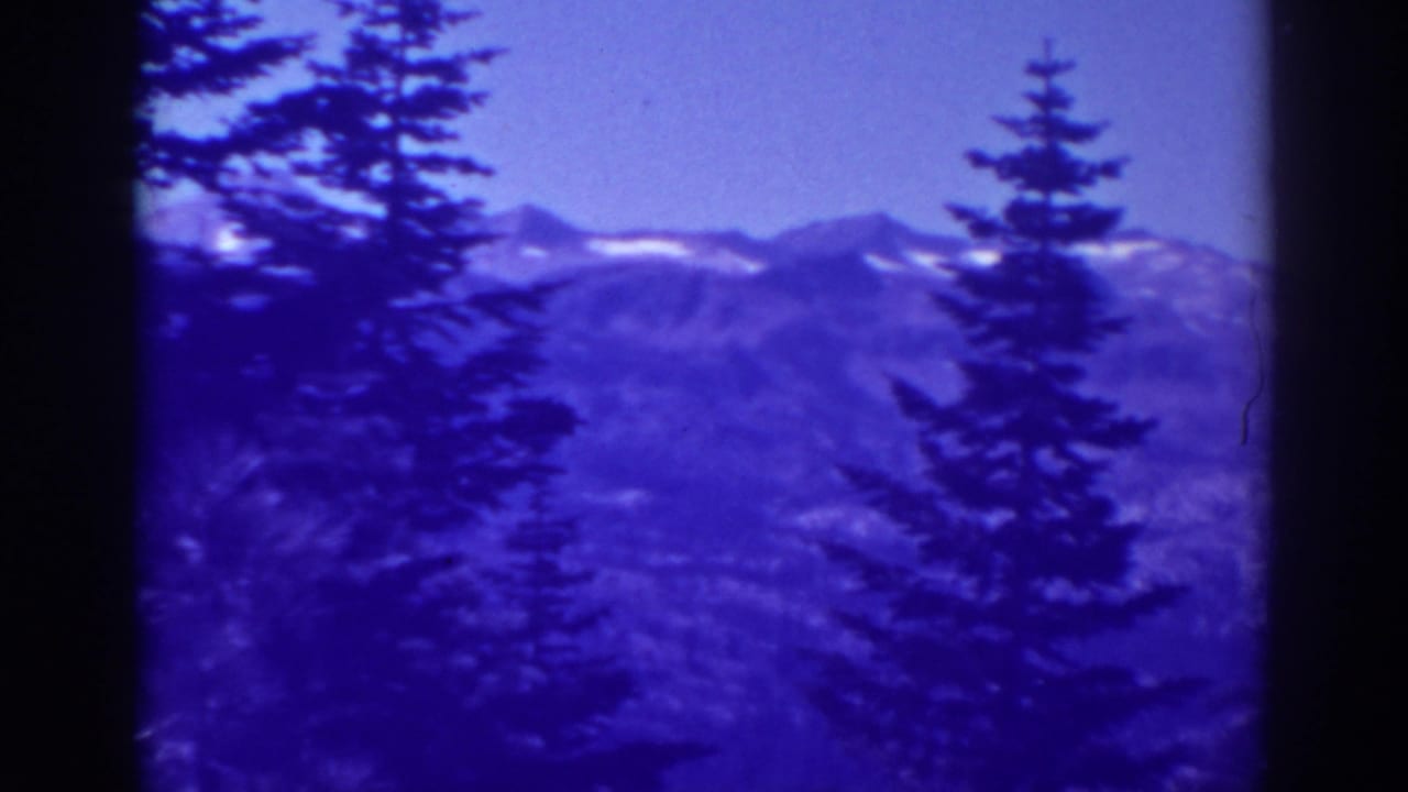 Tall evergreen silhouettes stand in front of distant rugged mountains and sky.