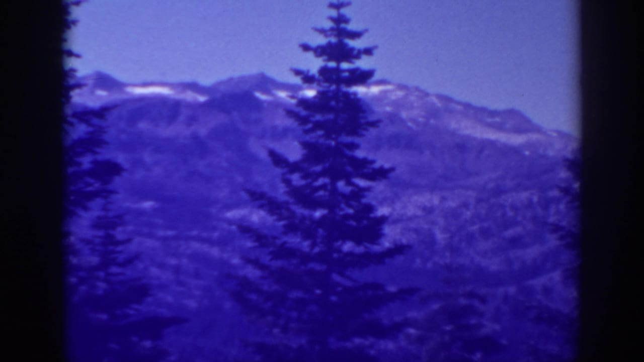 Snowy mountain ridge behind a dark evergreen tree with blue-purple film tint.