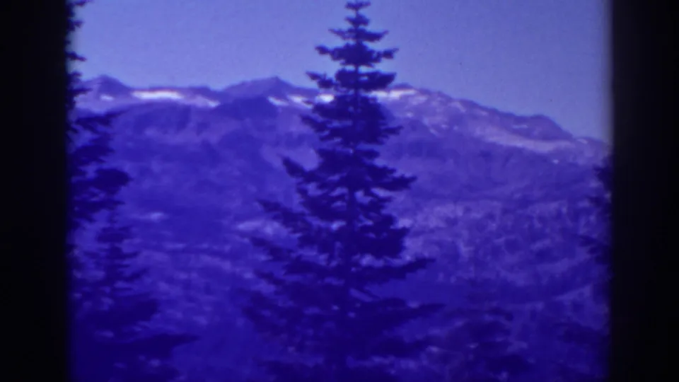 1938 Lake Tahoe home-movie frame showing a silhouetted evergreen before snow-dusted Sierra Nevada mountains under a pale sky.