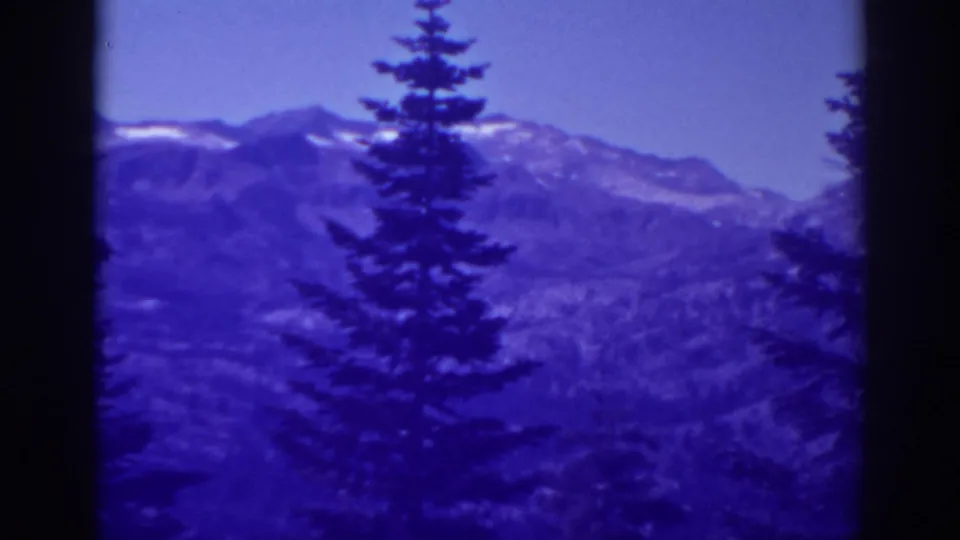 Lake Tahoe winter view from 1938 8mm footage, with a tall conifer silhouetted against snowy mountain ridges.