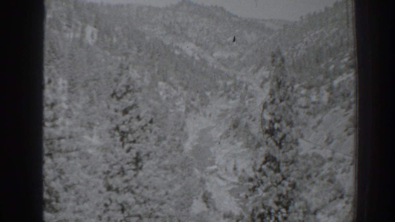 Snowy mountain valley with pine trees and distant ridgeline.