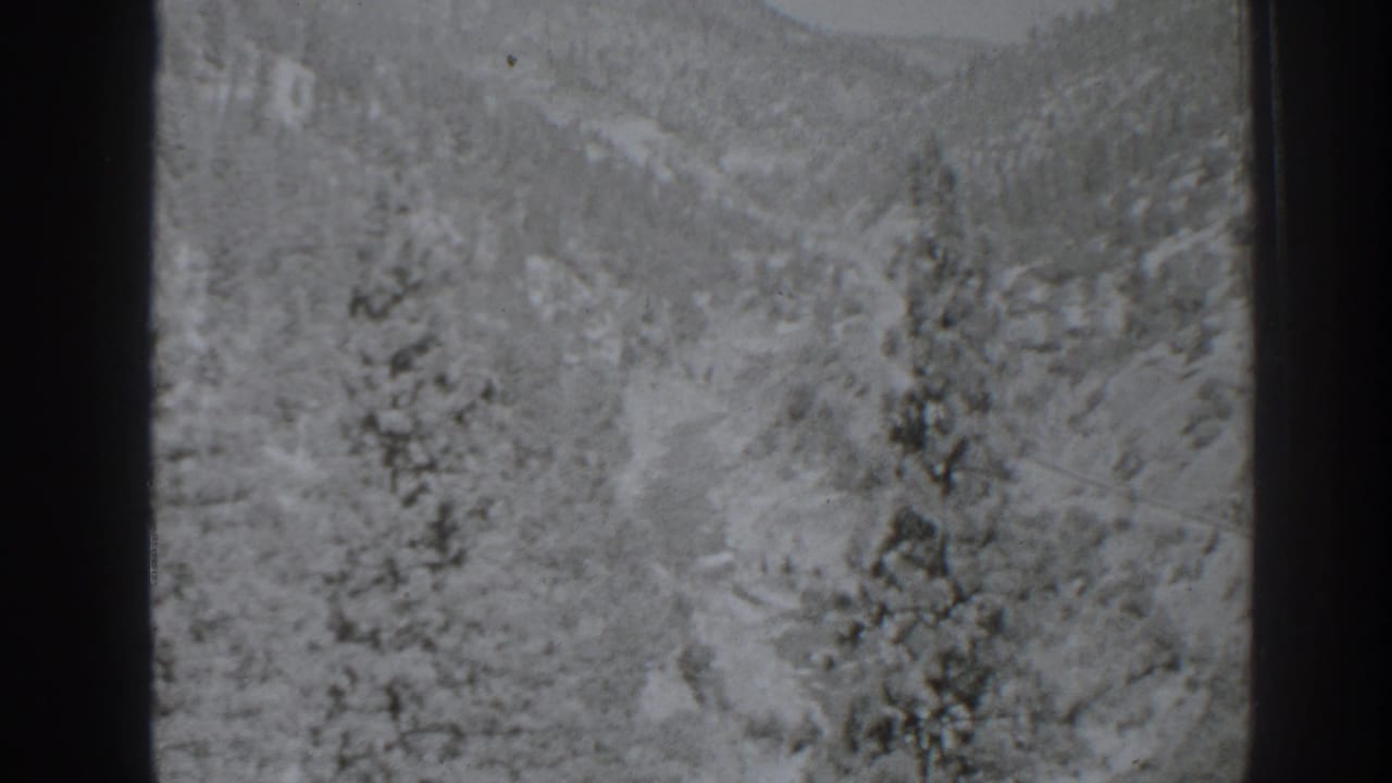 Snowy wooded valley framed by tall pines and hillsides.
