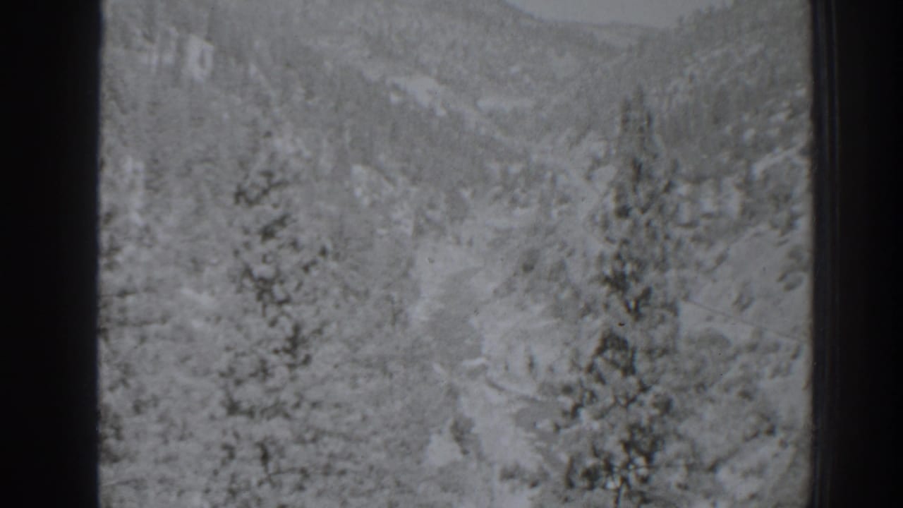 Snow-covered hillside with clustered pines and a valley opening.