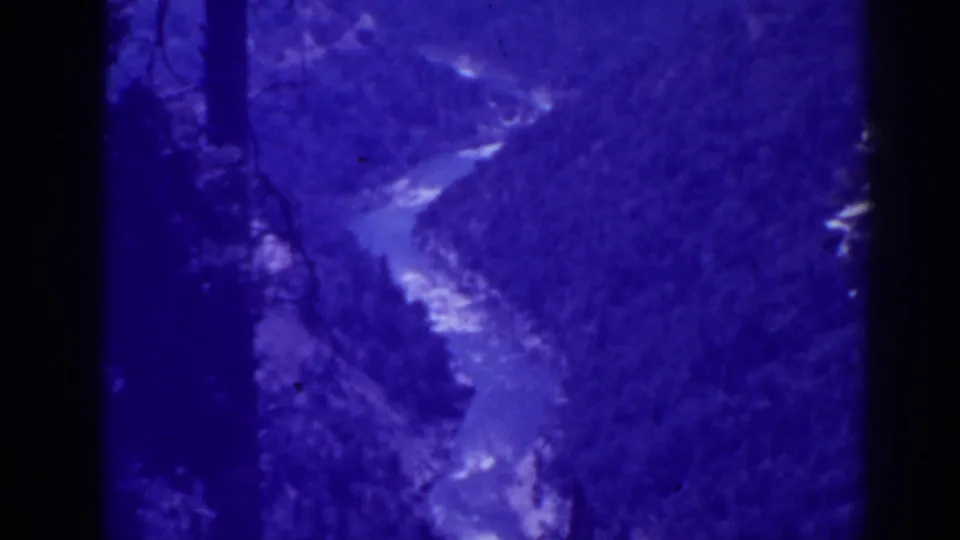 1938 Oroville-area 8mm frame showing a winding river below forested slopes with dark tree trunks at the frame edge.