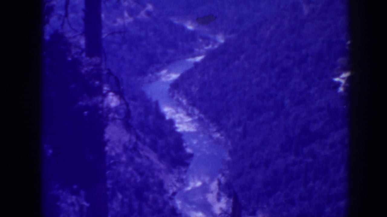 1938 Oroville, California 8mm frame showing a winding river below forested canyon slopes, partly blocked by dark tree trunks.