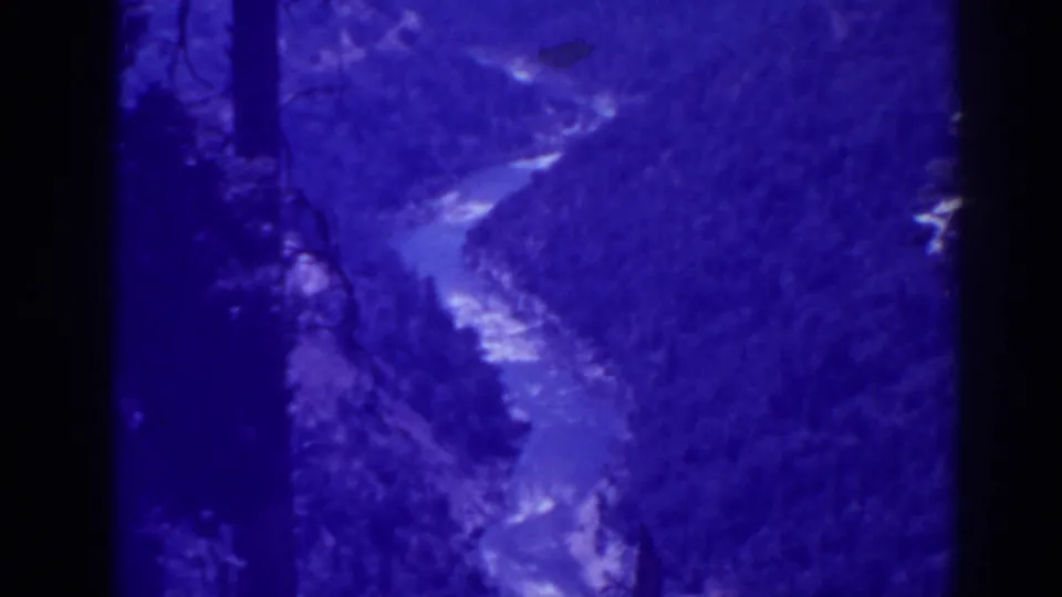 1938 Oroville, California 8mm frame showing a winding river below forested canyon slopes, partly blocked by dark tree trunks.