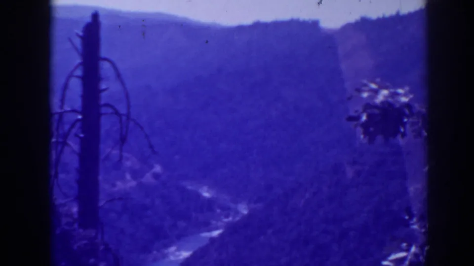 1938 Oroville, California frame with a bare foreground pole, wooded canyon walls, distant ridges, and a winding river below.