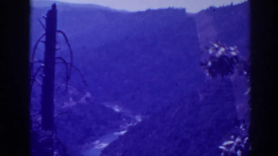 1938 Oroville, California 8mm view of a wooded valley, foreground pole, distant hills, and pale river curves below.