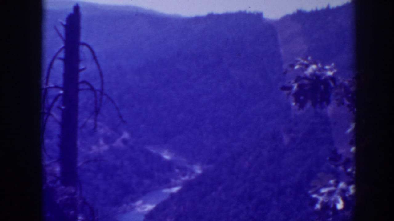 Blue-purple canyon view with river, ridgelines, foreground trunk, and foliage.