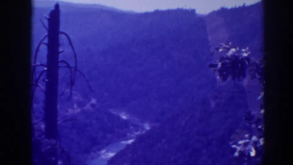 1938 Oroville-area 8mm frame showing a forested canyon, winding river, distant ridges, and dark foreground trunk.