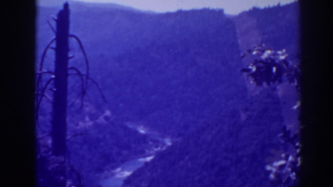 Forested valley and river seen through dark foreground edges and foliage.