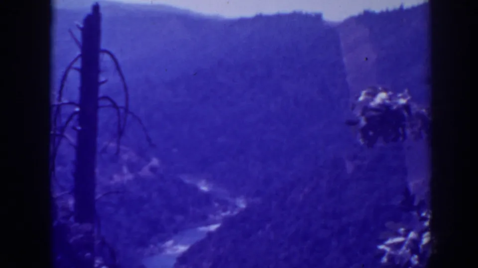 1938 Oroville-area 8mm frame showing a soft, blue-purple canyon vista with a river and bare foreground trunk.
