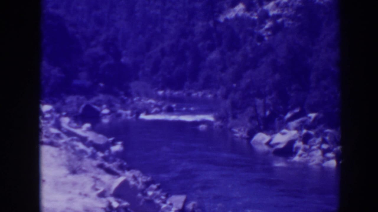 Rocky riverbank with trees and moving water in blue-tinted film.