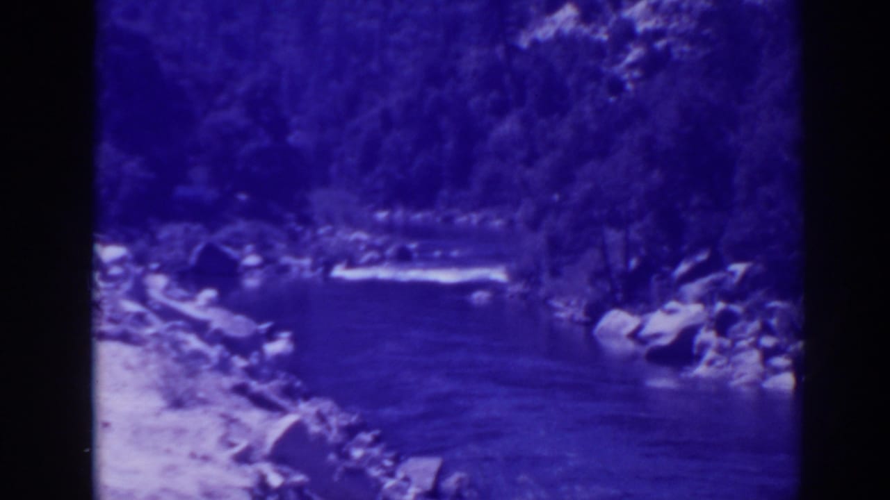 Wooded river channel with rocks along both banks.
