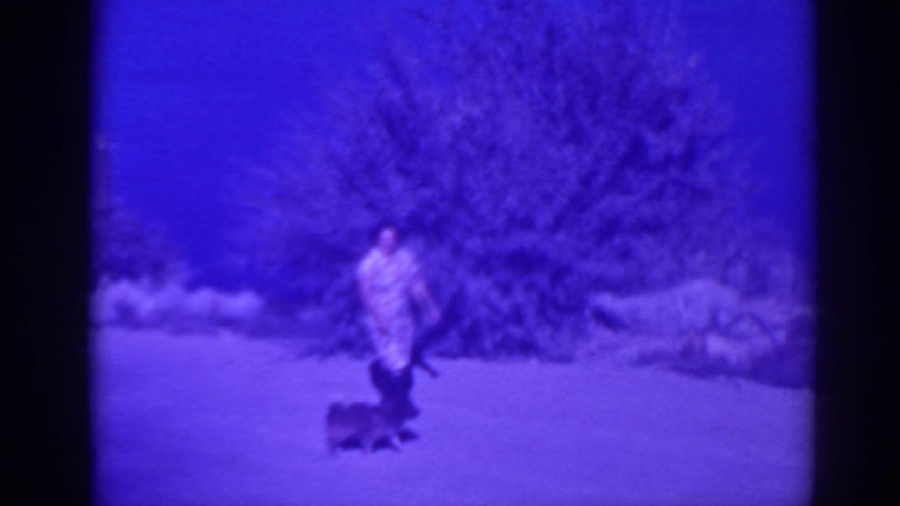 Woman in a patterned dress walking a small dark dog near bushes and rocks.