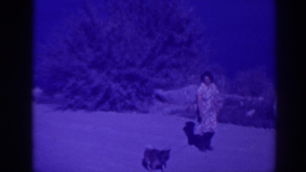 Woman in a patterned dress walks dogs across grass with trees and rocks behind her.