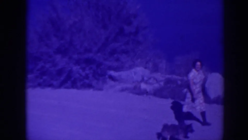 1938 Buck's Lake home-movie frame shows a woman and two dogs in a grassy clearing with rocks, trees, and strong blue film tint.