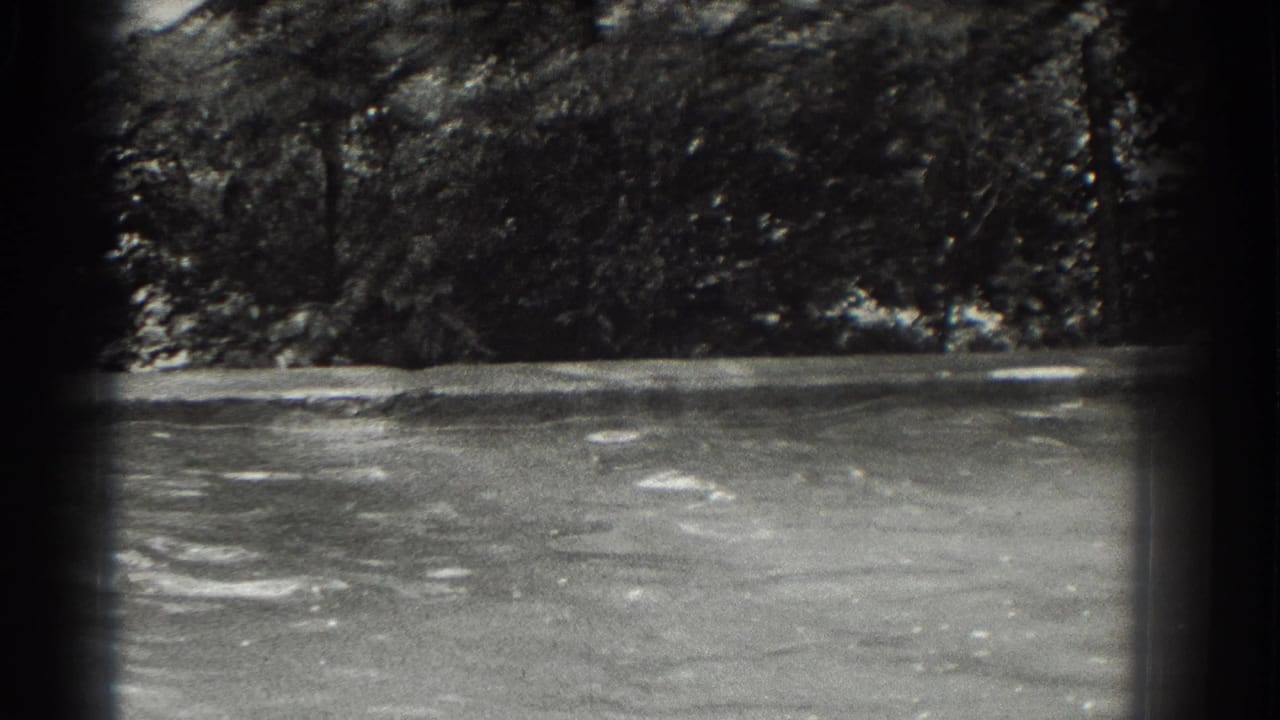 Outdoor swimming pool with trees beyond the far edge, seen through dark film borders.