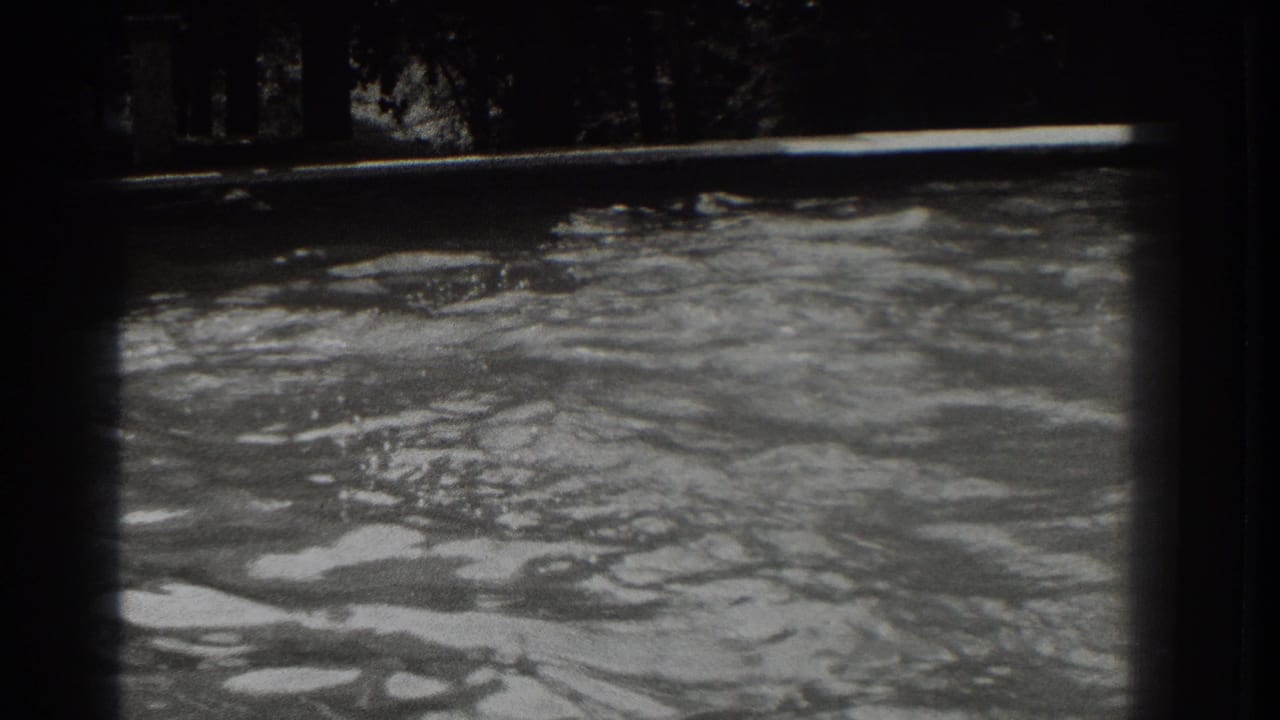 Choppy water surface with reflections and a dark wooded bank at the top of frame.