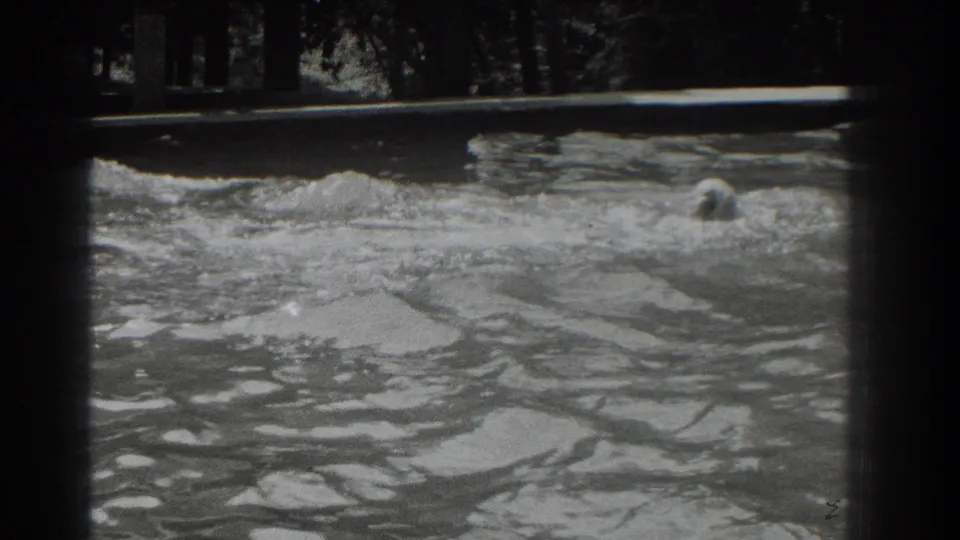 1937 Southampton 8mm frame with a person briefly surfacing near the right side of the river, surrounded by splashes and ripples.