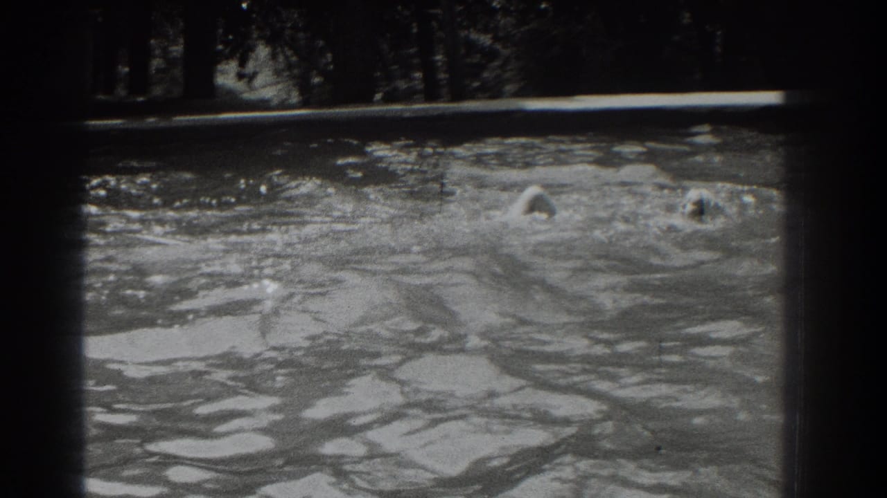 Swimmer in a white cap moves through an outdoor pool with trees behind the water.