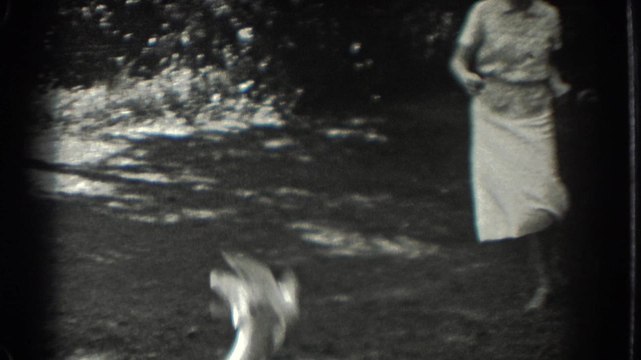 Woman standing on a shaded lawn while another figure blurs in the foreground.