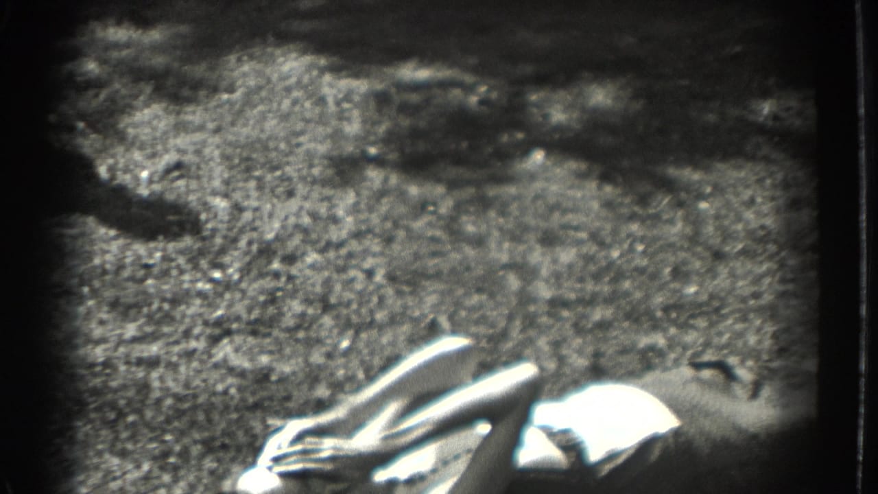 A woman reclines on the grass in the Southampton garden, partly washed by bright sunlight and framed by rough handheld 8mm exposure.