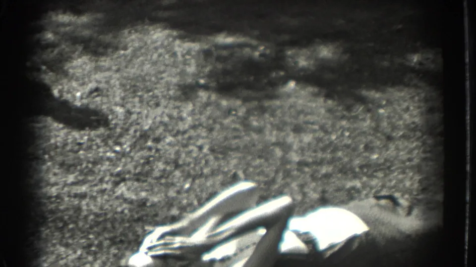A woman reclines on the grass in the Southampton garden, partly washed by bright sunlight and framed by rough handheld 8mm exposure.