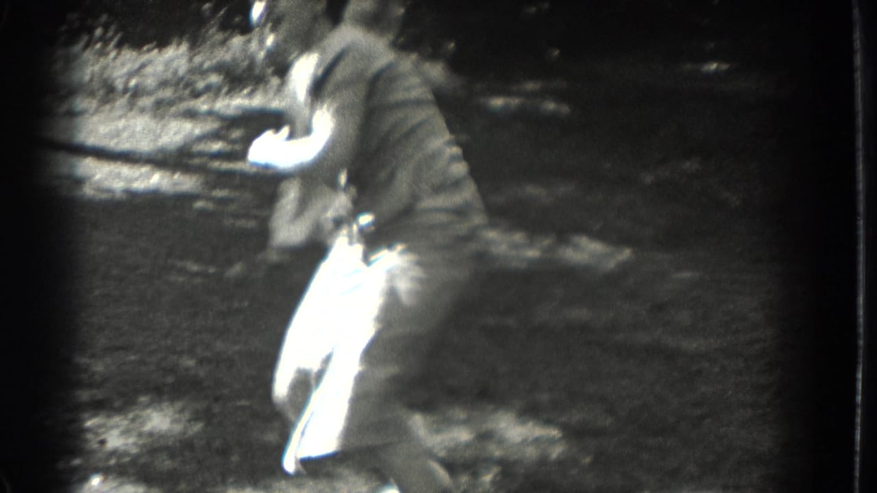 Woman in a dress dancing on a sunny lawn, seen with motion blur.