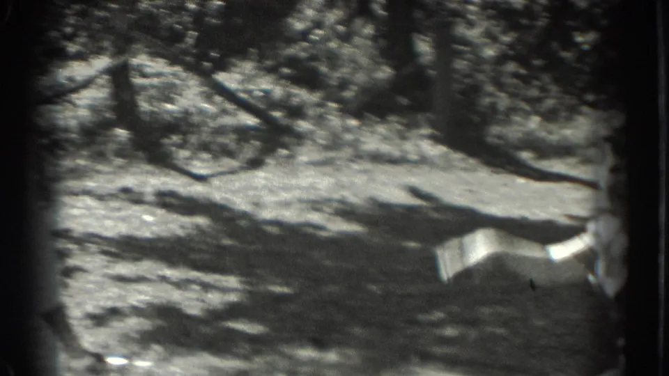1937 Southampton home-movie frame with a blurred figure low on the grass, surrounded by trees, shrubs, and strong shadows.