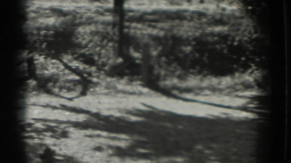 The camera shifts to a soft, black-and-white view of a sunlit path, trees, and low landscaping in the same Southampton outdoor setting.