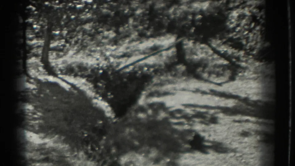 A curving path and planted outdoor area appear in grainy 1937 black-and-white 8mm footage from Southampton, New York.