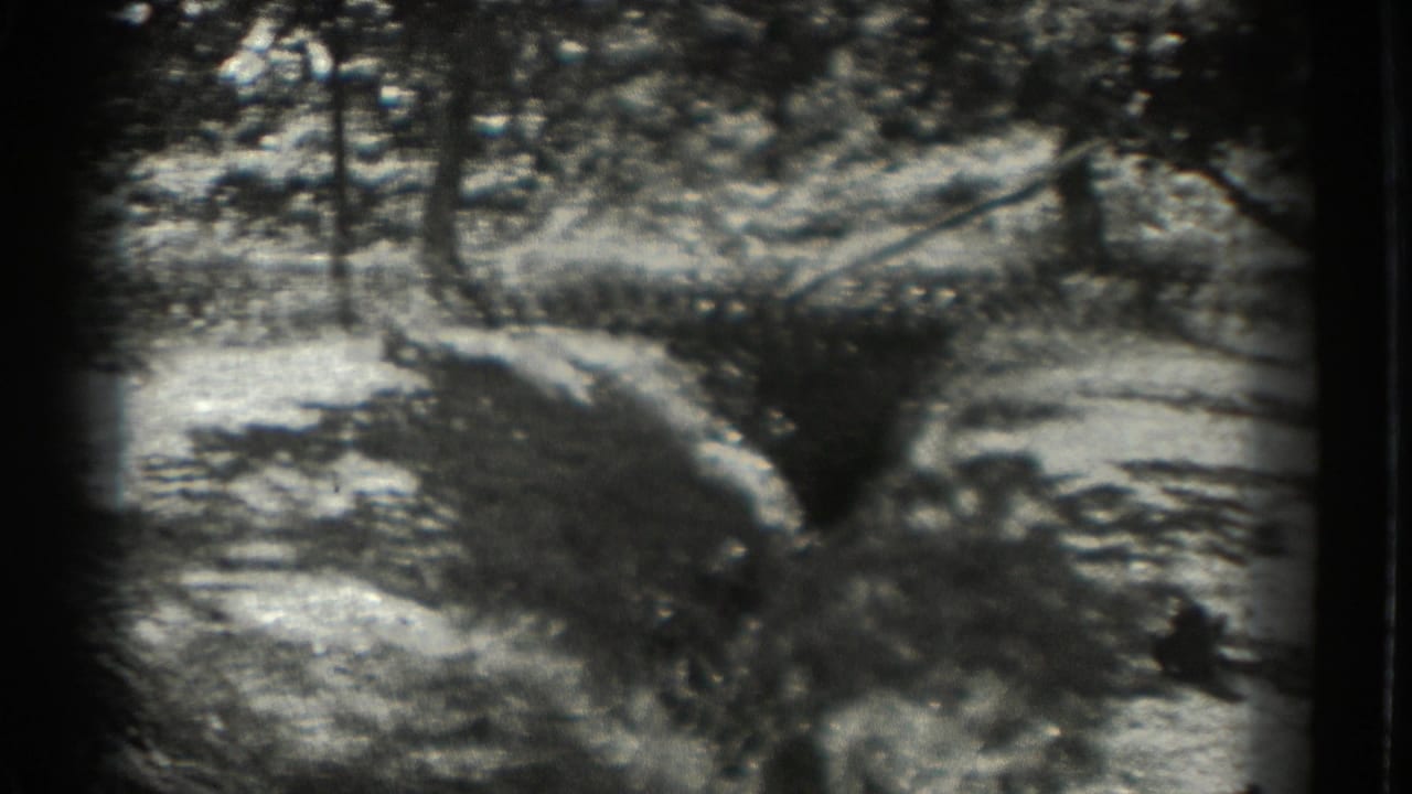 Wooded path and shaded ground in a grainy black-and-white 8mm frame.