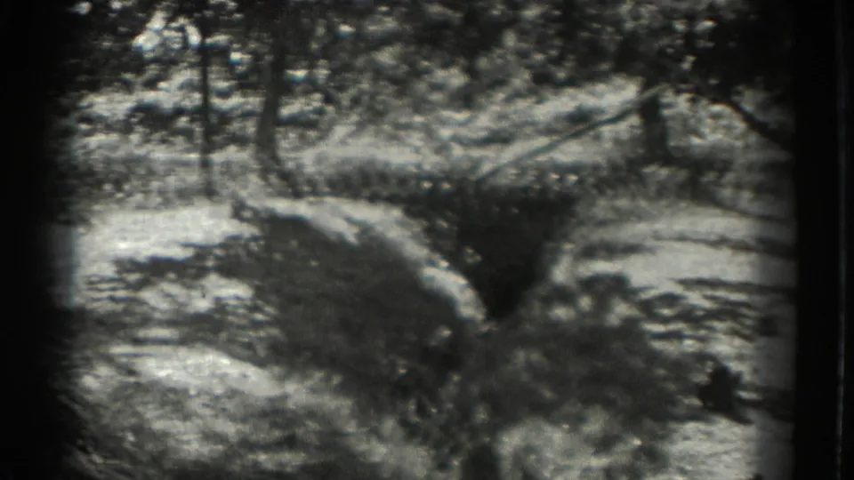 A 1937 Southampton home-movie frame appears to show a wooded path with dappled light and soft, handheld 8mm framing.