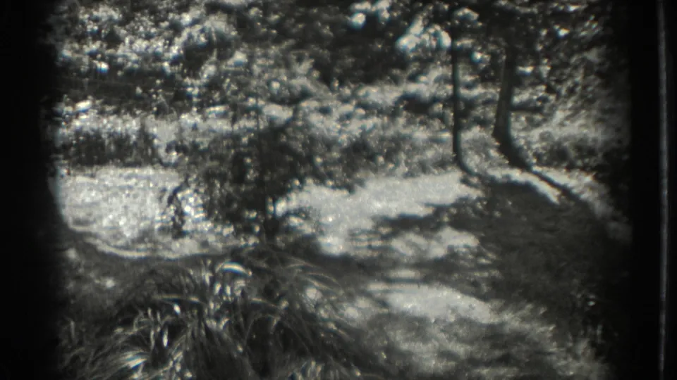 A wooded Southampton outdoor setting with shrubs, tree shadows, and uneven 8mm exposure, with no clearly identifiable people in this frame.