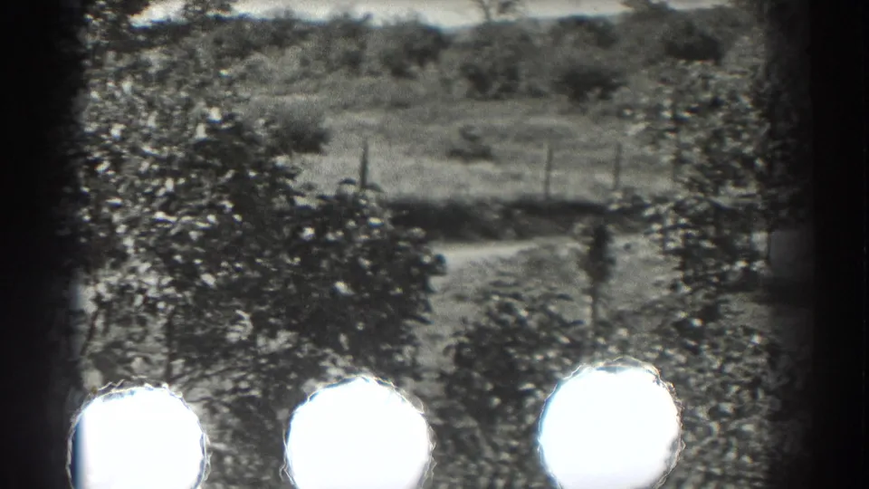 A soft, flared view of the garden or orchard area appears between shots in the 1937 Southampton home movie.